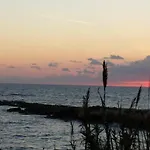 Delle Palme