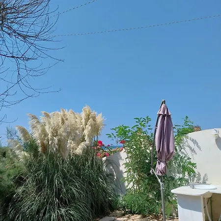 Villa Delle Palme *