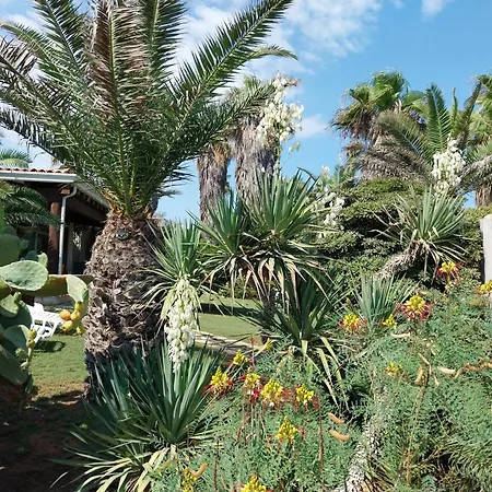 Delle Palme * Pachino